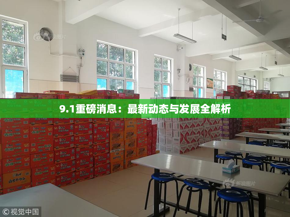 9.1重磅消息：最新动态与发展全解析
