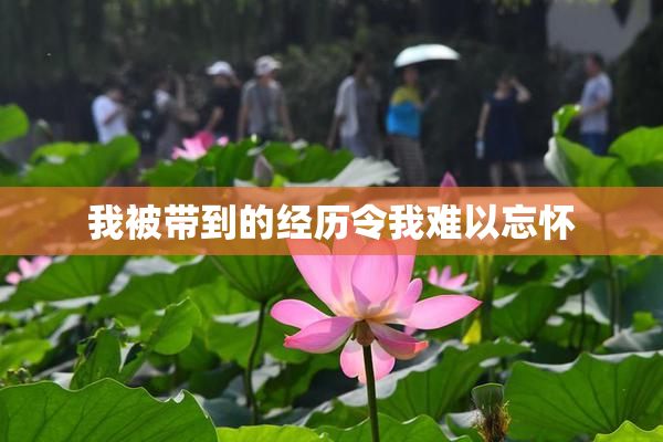 我被带到的经历令我难以忘怀