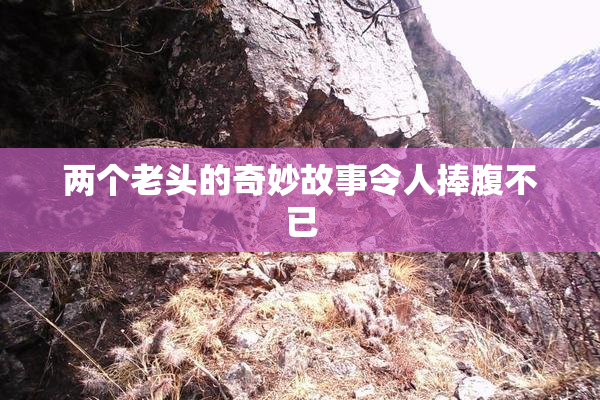 两个老头的奇妙故事令人捧腹不已