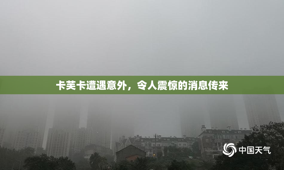 卡芙卡遭遇意外，令人震惊的消息传来