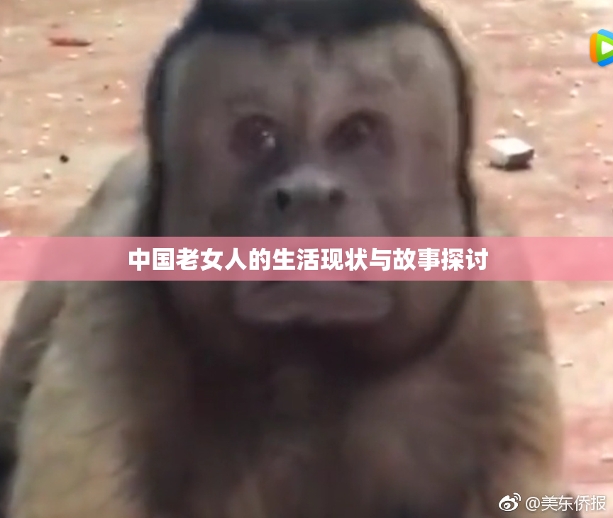 中国老女人的生活现状与故事探讨