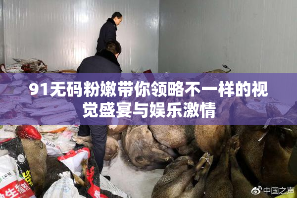 91无码粉嫩带你领略不一样的视觉盛宴与娱乐激情
