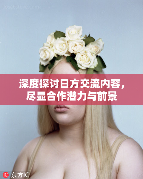 深度探讨日方交流内容，尽显合作潜力与前景