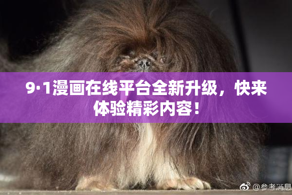 9·1漫画在线平台全新升级，快来体验精彩内容！