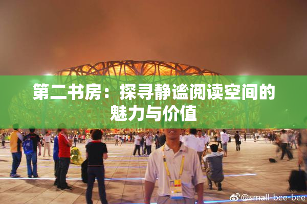 第二书房：探寻静谧阅读空间的魅力与价值