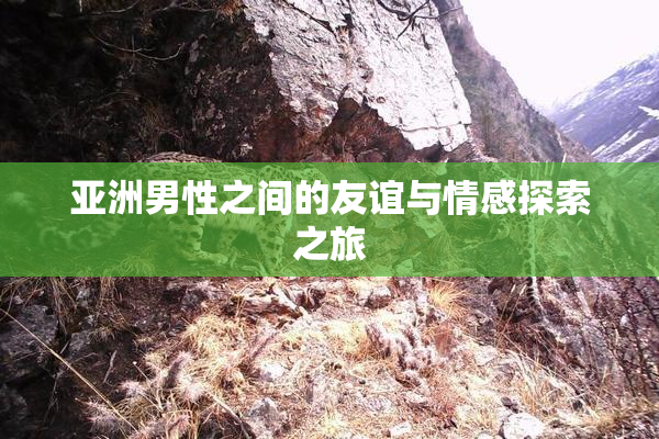 亚洲男性之间的友谊与情感探索之旅
