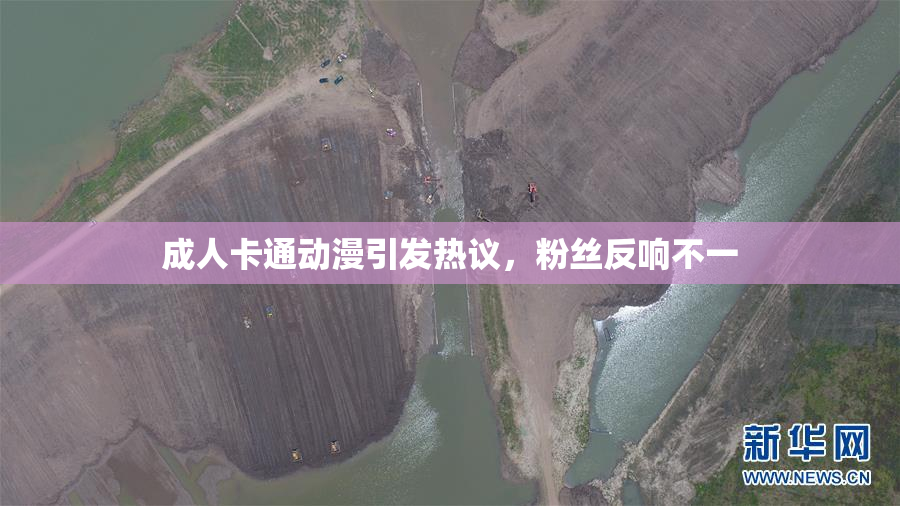 成人卡通动漫引发热议，粉丝反响不一