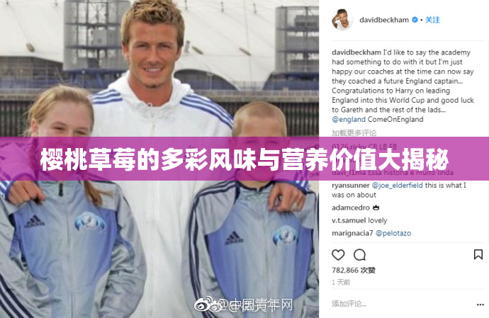 樱桃草莓的多彩风味与营养价值大揭秘