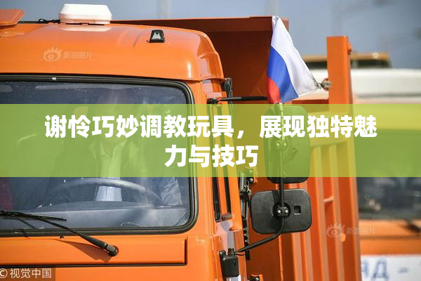 谢怜巧妙调教玩具，展现独特魅力与技巧