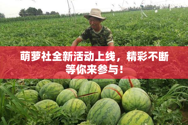 萌萝社全新活动上线，精彩不断等你来参与！