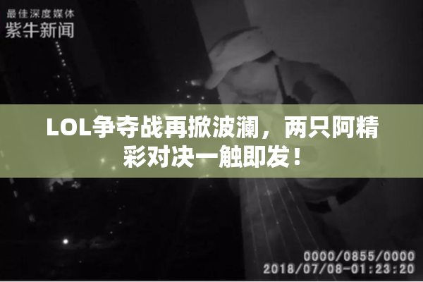 LOL争夺战再掀波澜，两只阿精彩对决一触即发！