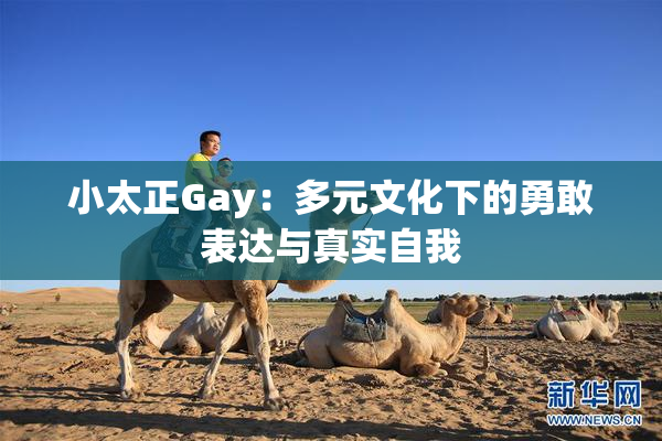 小太正Gay：多元文化下的勇敢表达与真实自我