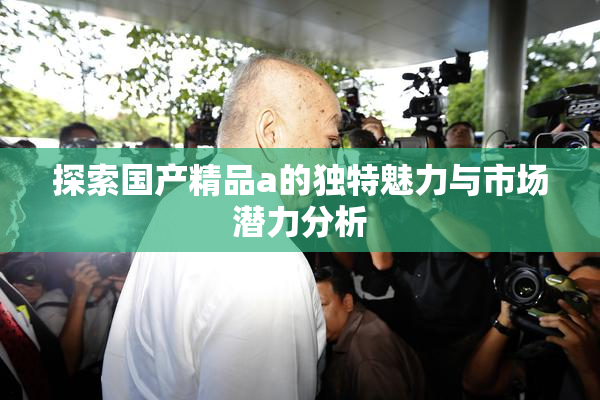 探索国产精品a的独特魅力与市场潜力分析
