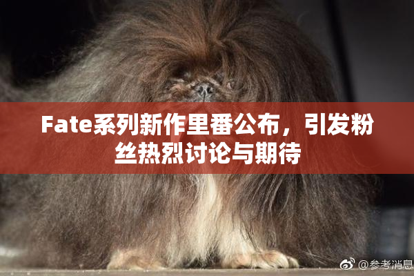 Fate系列新作里番公布，引发粉丝热烈讨论与期待
