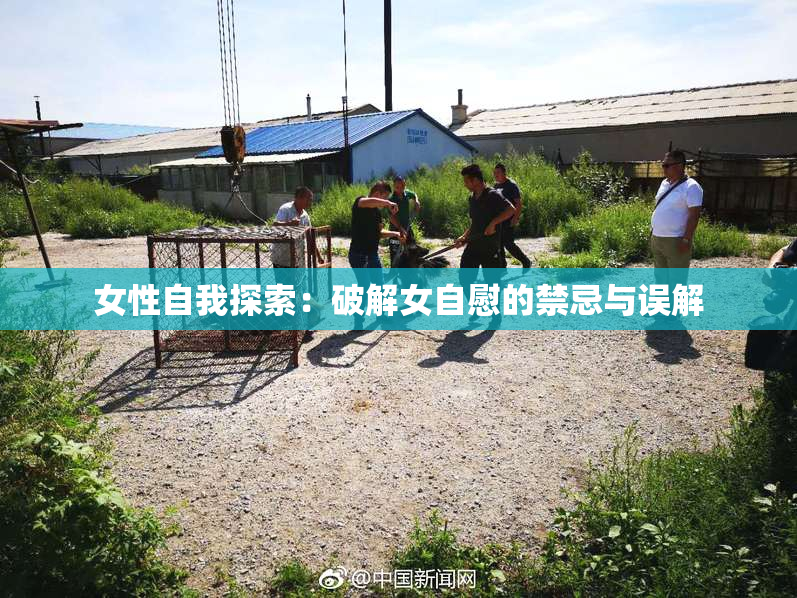 女性自我探索：破解女自慰的禁忌与误解