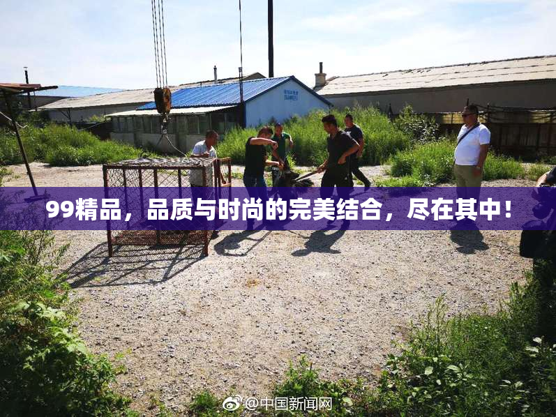 99精品，品质与时尚的完美结合，尽在其中！