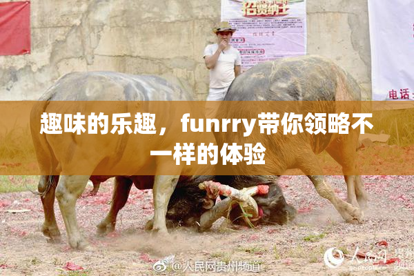 趣味的乐趣，funrry带你领略不一样的体验