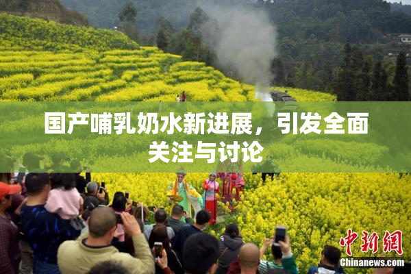 国产哺乳奶水新进展，引发全面关注与讨论