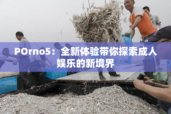 POrno5：全新体验带你探索成人娱乐的新境界