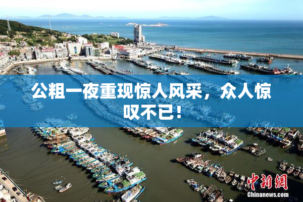 公粗一夜重现惊人风采，众人惊叹不已！
