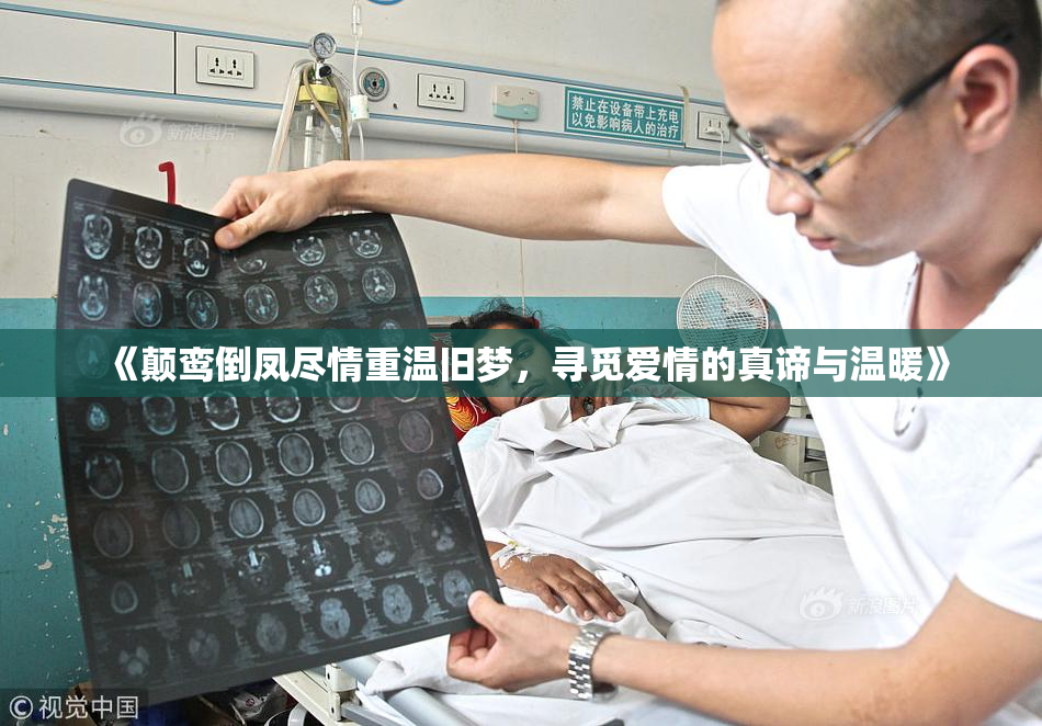 《颠鸾倒凤尽情重温旧梦，寻觅爱情的真谛与温暖》