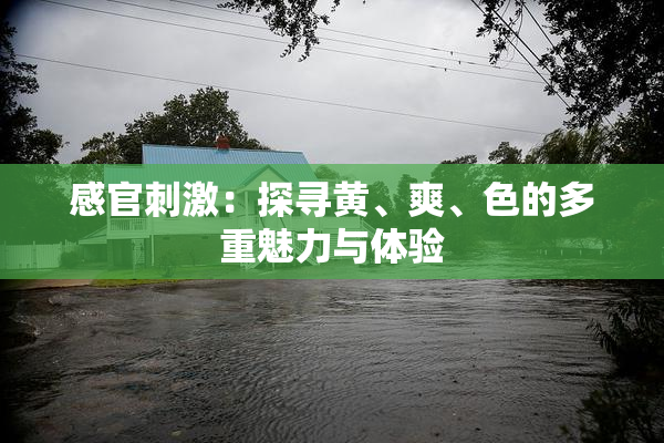 感官刺激：探寻黄、爽、色的多重魅力与体验