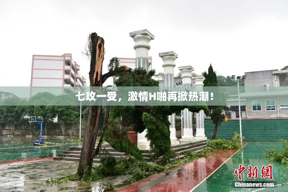 七攻一受，激情H啪再掀热潮！