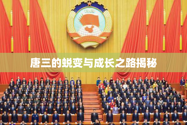 唐三的蜕变与成长之路揭秘