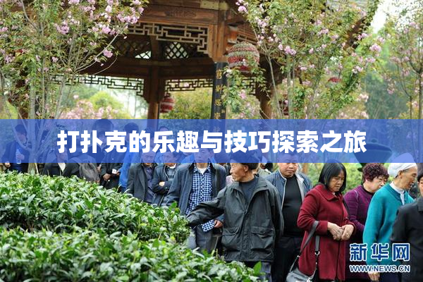 打扑克的乐趣与技巧探索之旅