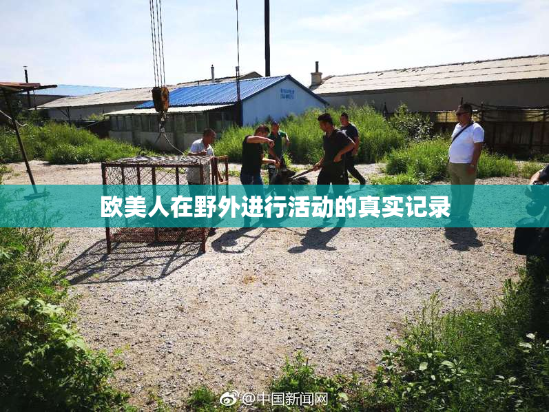 欧美人在野外进行活动的真实记录