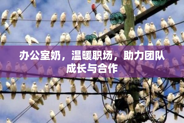 办公室奶，温暖职场，助力团队成长与合作