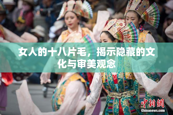 女人的十八片毛，揭示隐藏的文化与审美观念