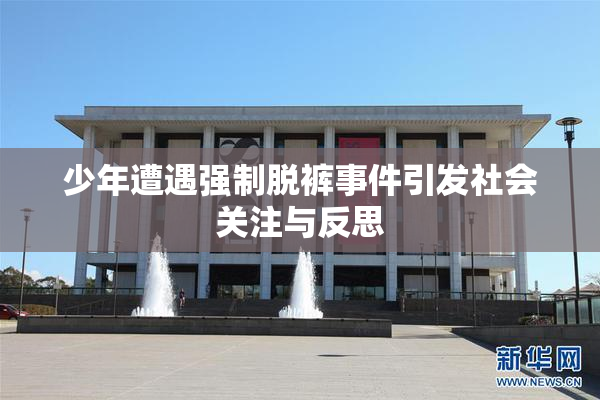 少年遭遇强制脱裤事件引发社会关注与反思