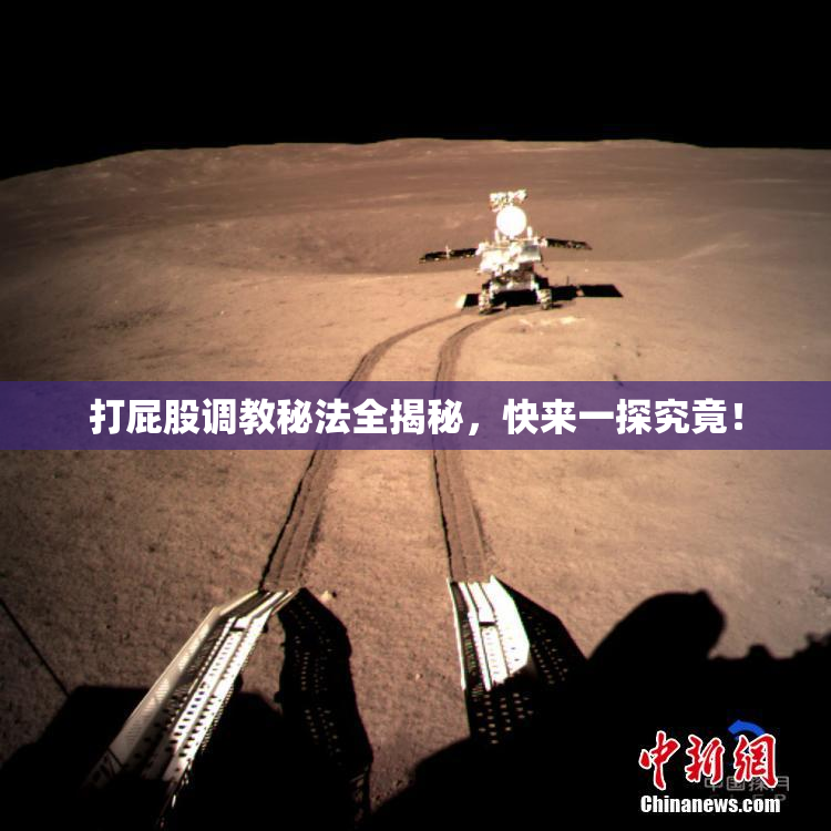 打屁股调教秘法全揭秘，快来一探究竟！