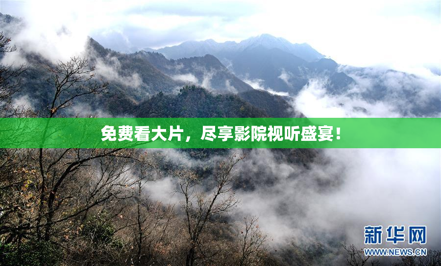 免费看大片，尽享影院视听盛宴！