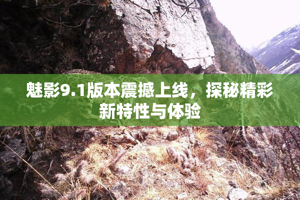 魅影9.1版本震撼上线，探秘精彩新特性与体验