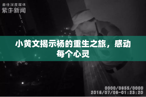 小黄文揭示杨的重生之旅，感动每个心灵