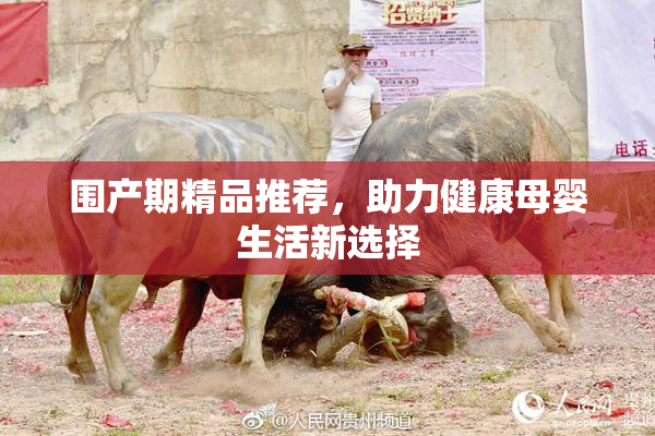 围产期精品推荐，助力健康母婴生活新选择