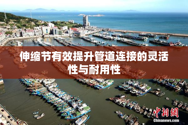 伸缩节有效提升管道连接的灵活性与耐用性