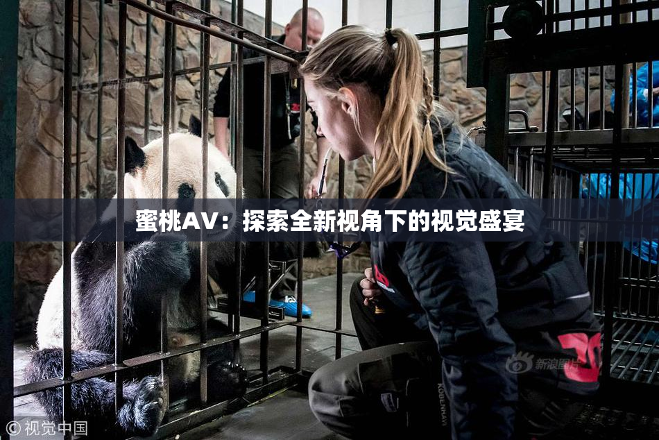 蜜桃AV：探索全新视角下的视觉盛宴