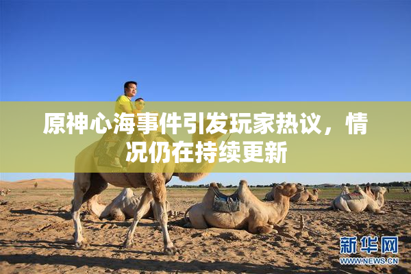 原神心海事件引发玩家热议，情况仍在持续更新