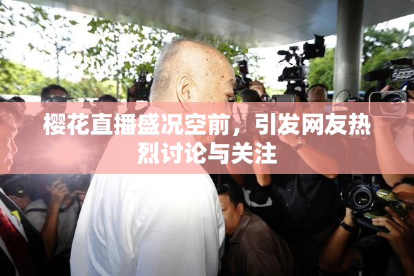 樱花直播盛况空前，引发网友热烈讨论与关注
