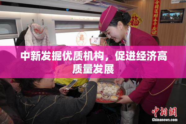 中新发掘优质机构，促进经济高质量发展