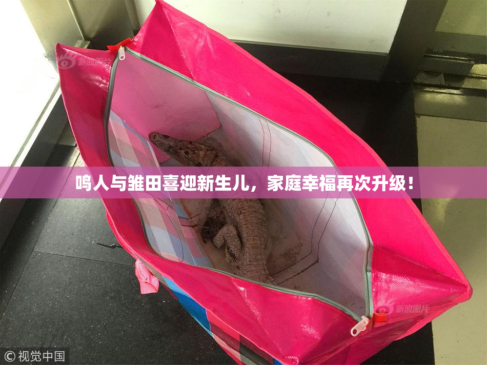 鸣人与雏田喜迎新生儿，家庭幸福再次升级！