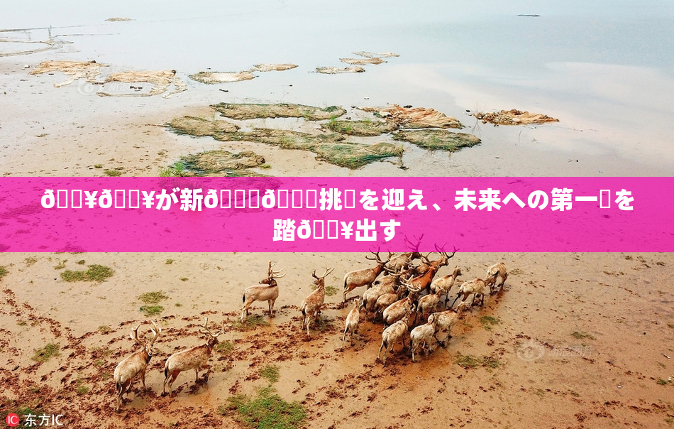 🔥🔥が新👅🍑挑戦を迎え、未来への第一歩を踏🔥出す