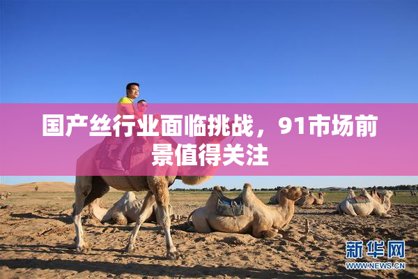 国产丝行业面临挑战，91市场前景值得关注