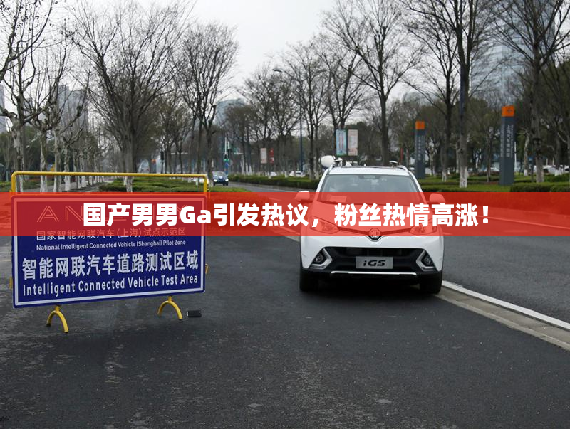 国产男男Ga引发热议，粉丝热情高涨！