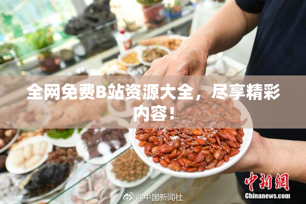 全网免费B站资源大全，尽享精彩内容！