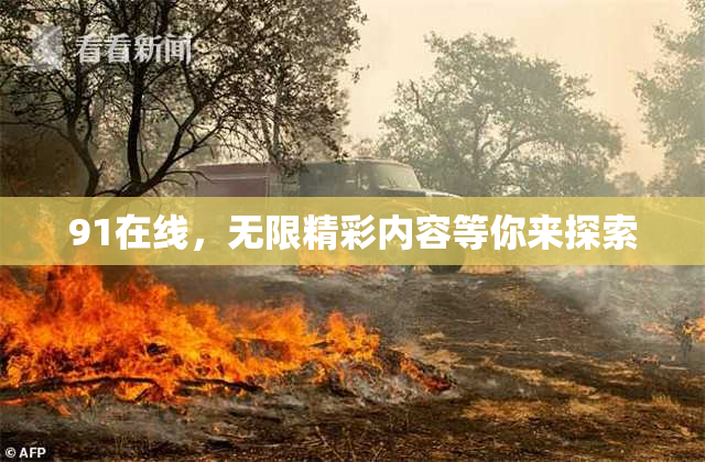 91在线，无限精彩内容等你来探索