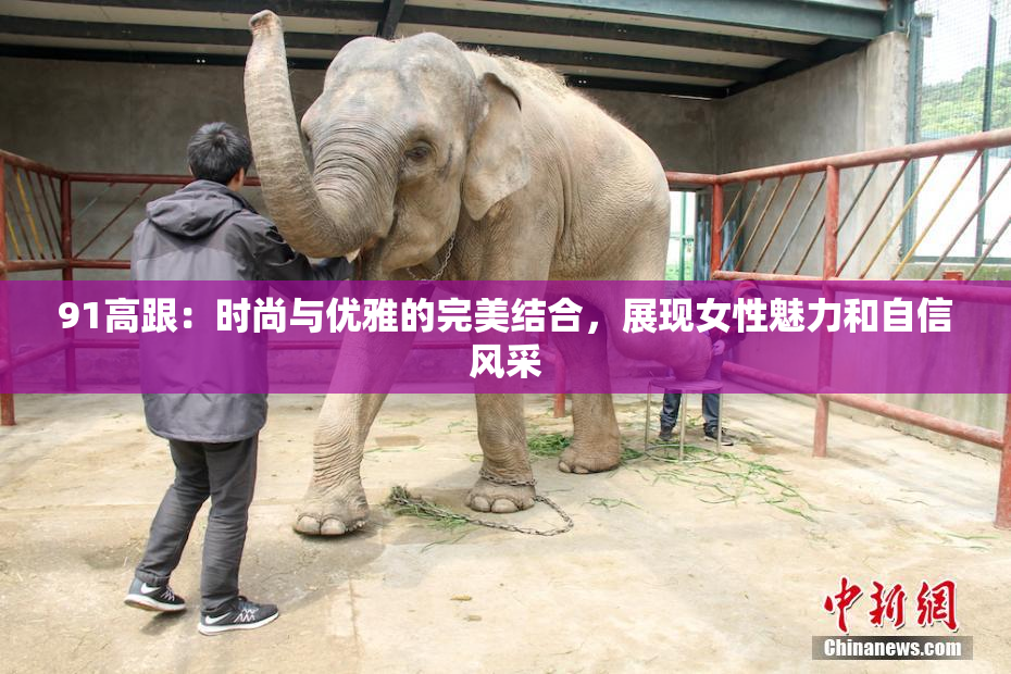 91高跟：时尚与优雅的完美结合，展现女性魅力和自信风采